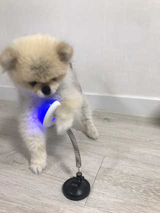 덕구리누나님이 올린 리뷰 사진 3