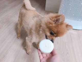 베베루님이 올린 리뷰 사진 3