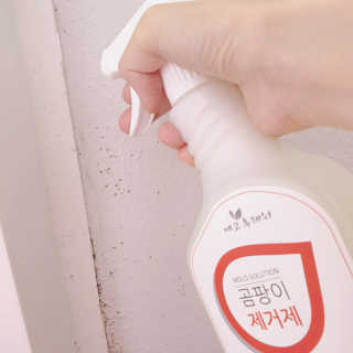 소신인생님이 올린 리뷰 사진 1