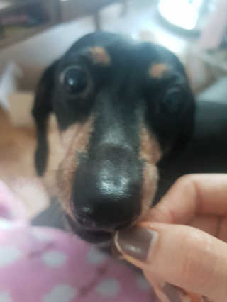 민블리님이 올린 리뷰 사진 1