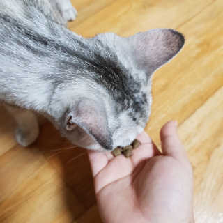 강태정님이 올린 리뷰 사진 4