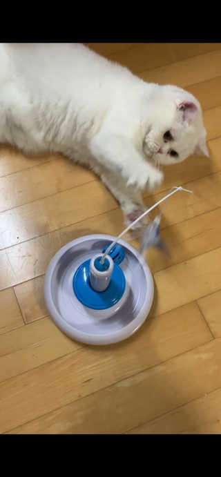 서연님이 올린 리뷰 사진 2