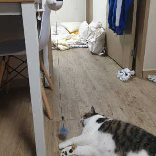 황선영님이 올린 리뷰 사진 1
