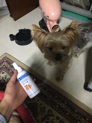 데닌슈님이 올린 리뷰 사진 1