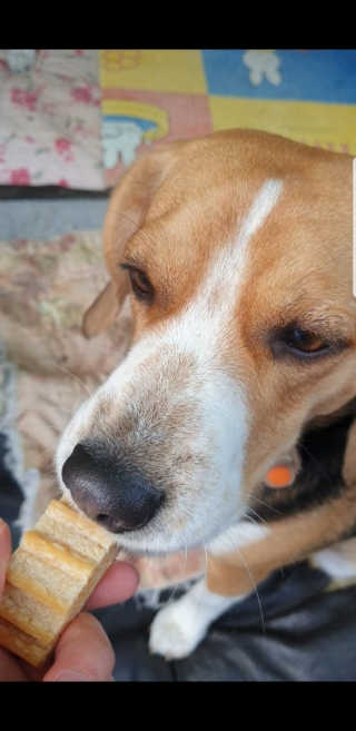beaglelove님이 올린 리뷰 사진 3