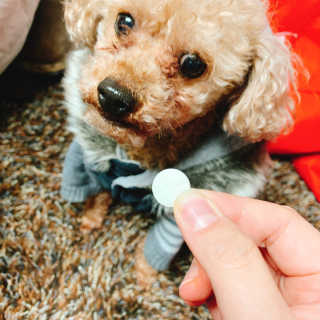 poco님이 올린 리뷰 사진 2