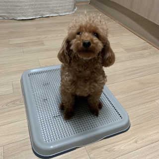 규빈띵쏘님이 올린 리뷰 사진 2