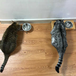 아랑맘님이 올린 리뷰 사진 1