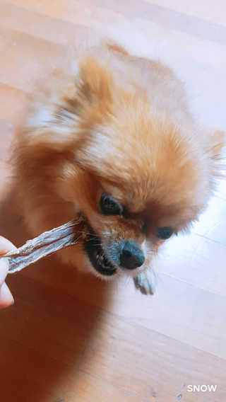 YulaKim님이 올린 리뷰 사진 4