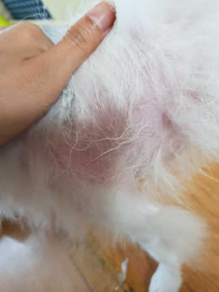 레오님이 올린 리뷰 사진 4