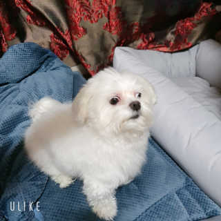 혜린님이 올린 리뷰 사진 2