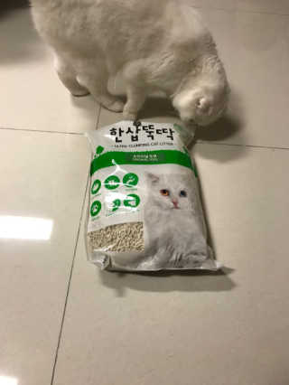 [펫토리아] BEST 고양이두부모래 6L 한삽뚝딱 — 4점을 준 리뷰어가 2019년 1월 올린 사용 사진