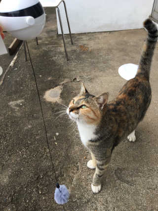 퐝님이 올린 리뷰 사진 2