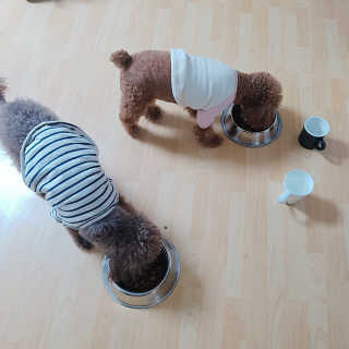 코밍쏭님이 올린 리뷰 사진 3