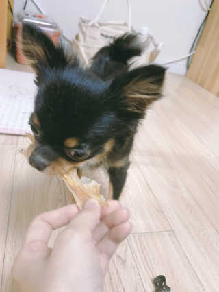 everydaymoment님이 올린 리뷰 사진 1