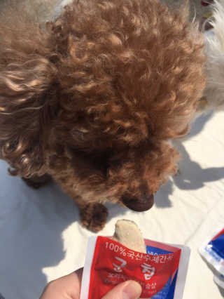 reeem님이 올린 리뷰 사진 3