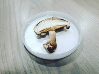 란아님이 올린 리뷰 사진 4