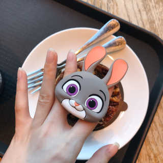 하이키키 디즈니 토이스토리 주토피아 팝톡  휴대폰 거치대 — 5점을 준 리뷰어가 2019년 9월 올린 사용 사진