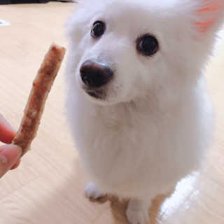 전지은님이 올린 리뷰 사진 2