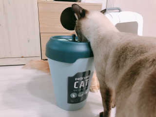 바초라떼님이 올린 리뷰 사진 2
