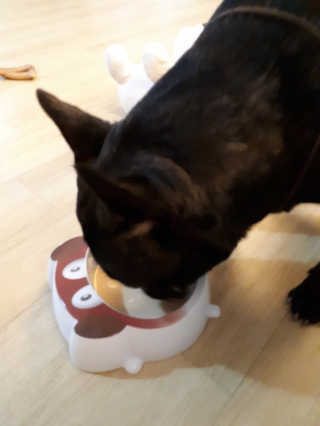 토르맘님이 올린 리뷰 사진 2