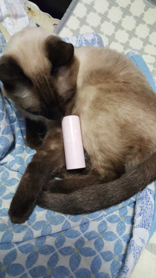 벚꽃여왕님이 올린 리뷰 사진 1