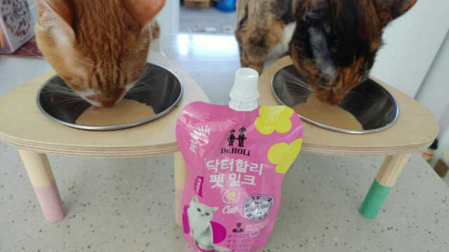 닥터할리 캣밀크_5개입 리뷰 사진