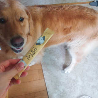 아보카도올리브님이 올린 리뷰 사진 2