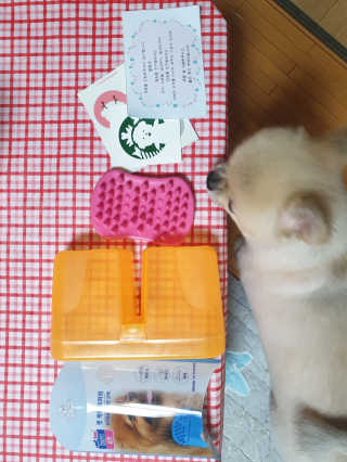 김릴리님이 올린 리뷰 사진 3