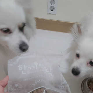 에일린님이 올린 리뷰 사진 4