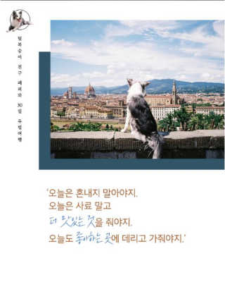 songyn님이 올린 리뷰 사진 2