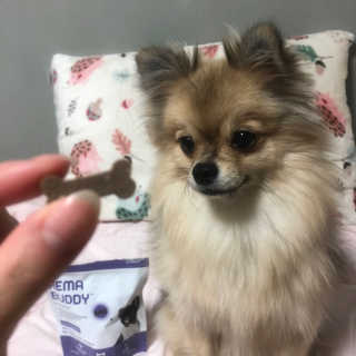 Ariel님이 올린 리뷰 사진 1