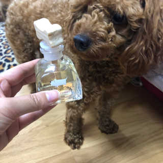 칸쵸님이 올린 리뷰 사진 2