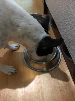 동구뺑덕님이 올린 리뷰 사진 1