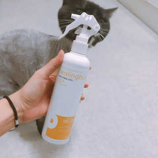 이잉룽님이 올린 리뷰 사진 3