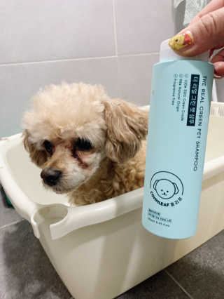 랑이님이 올린 리뷰 사진 1