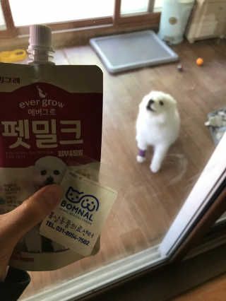 [빙그레] 에버그로 생유산균 1봉（10포입）+펫밀크2팩 — 5점을 준 리뷰어가 2019년 5월 올린 사용 사진