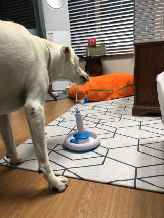 정봐기린님이 올린 리뷰 사진 2