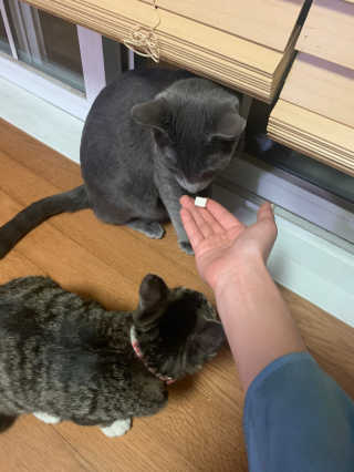유자몬님이 올린 리뷰 사진 3