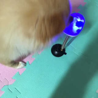 딩이둥이님이 올린 리뷰 사진 3