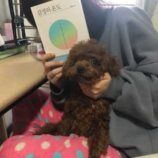 최지원님이 올린 리뷰 사진 2