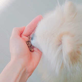 안공주님이 올린 리뷰 사진 3