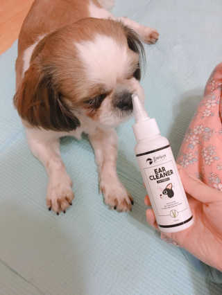 혤님님이 올린 리뷰 사진 1