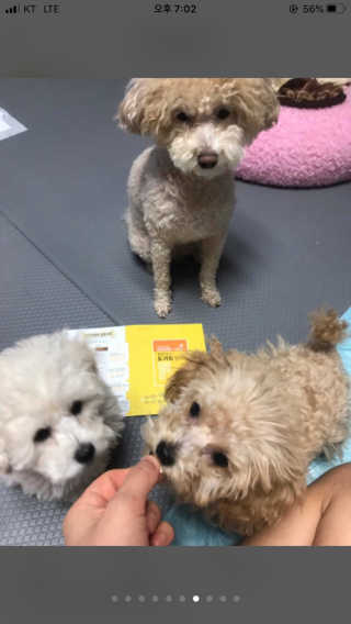 서주나님이 올린 리뷰 사진 2