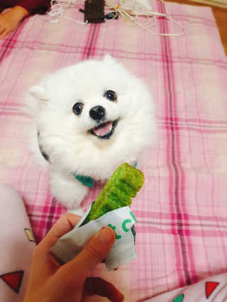 퀸민님이 올린 리뷰 사진 1
