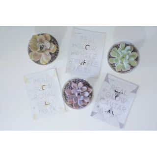 thedeilyskin님이 올린 리뷰 사진 1