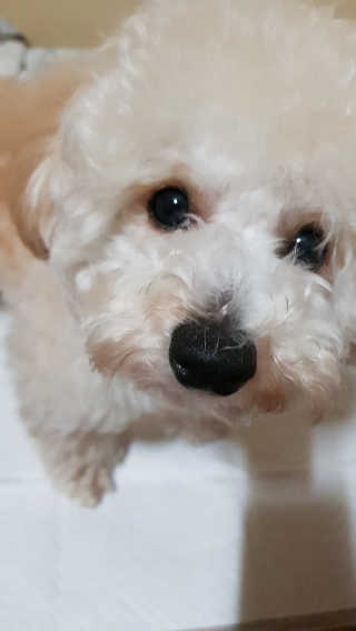 혜림님이 올린 리뷰 사진 2