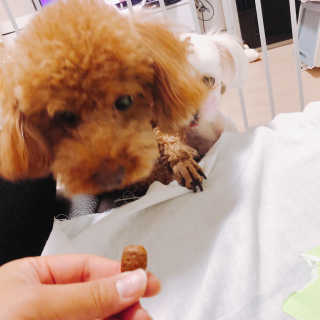 콩보리맘님이 올린 리뷰 사진 2