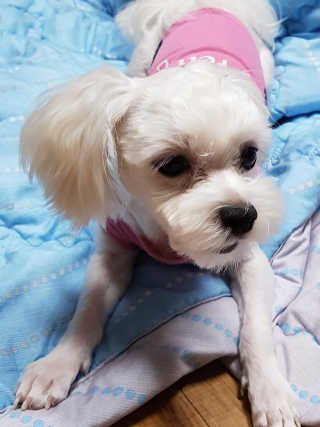 이효빈님이 올린 리뷰 사진 3