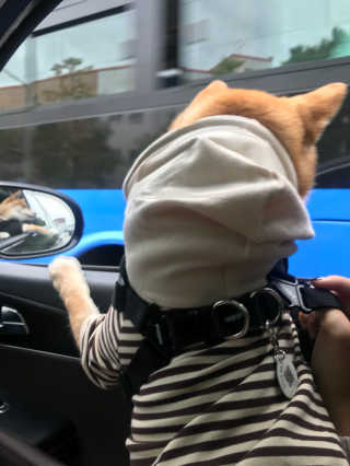 정희수님이 올린 리뷰 사진 1